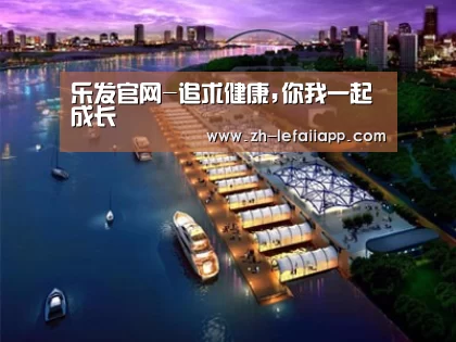 案例展示八