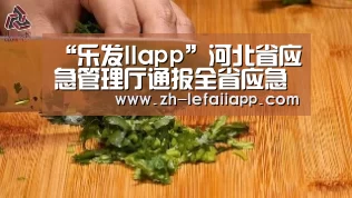 乐发IIapp