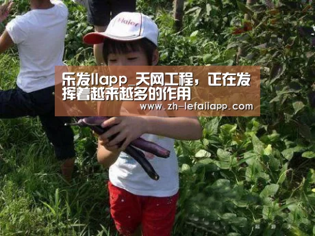 乐发IIapp