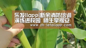 乐发IIapp