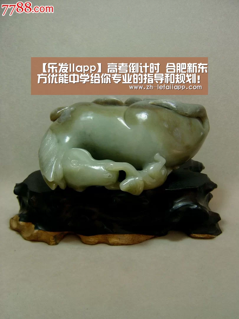乐发IIapp