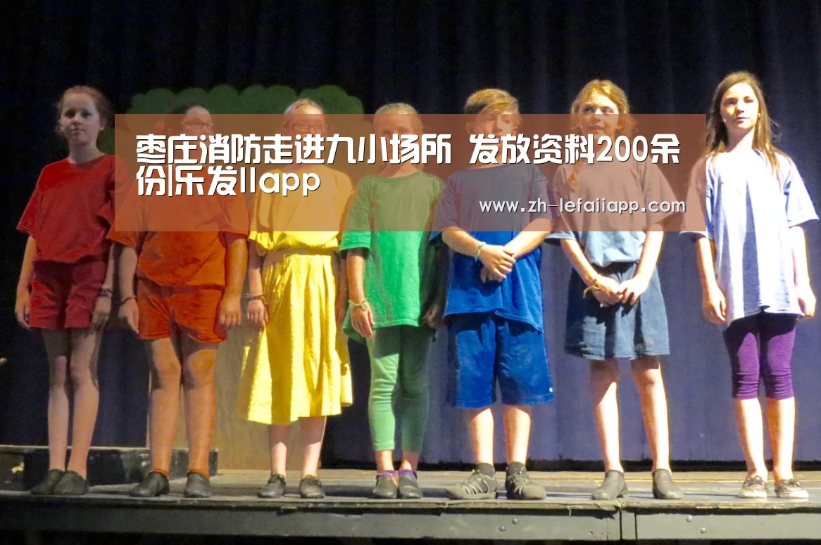 枣庄消防走进九小场所 发放资料200余份|乐发IIapp(图2) 乐发IIapp